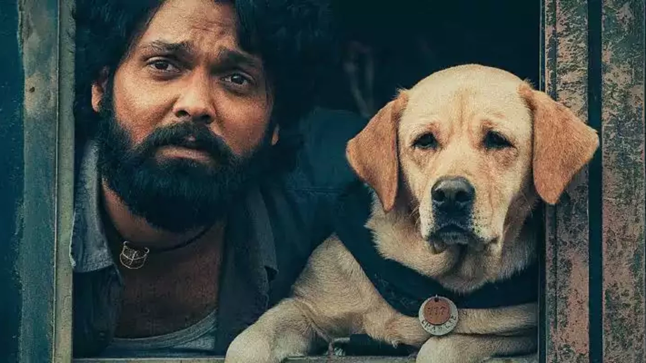 ‘777 ചാര്‍ളി’ ഒടിടിയിലേക്ക്; റിലീസ് ഡേറ്റ് പുറത്ത്