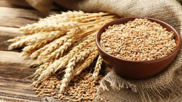 ഇന്ത്യയിൽ നിന്നുള്ള കാർഷിക ഉൽപ്പന്നങ്ങളുടെ കയറ്റുമതി 31% വർദ്ധിച്ചു