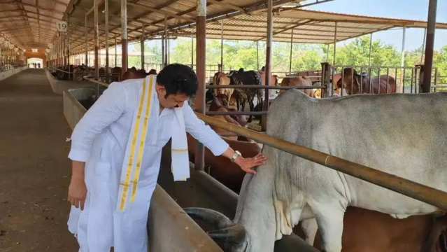 ‘സൗകര്യം കിട്ടുമ്പോൾ പശുക്കളുടെ അടുത്തൊന്നു ചെന്ന് നിൽക്കുക’; ചിത്രങ്ങൾ പങ്കുവച്ച് കൃഷ്ണകുമാർ